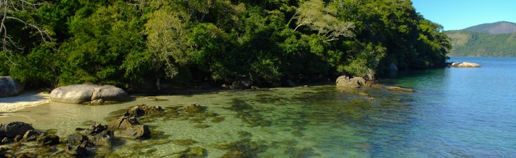 Ilha da Cotia