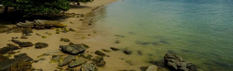 Ilha do Cedro – Área de Proteção Ambiental de Cairuçu