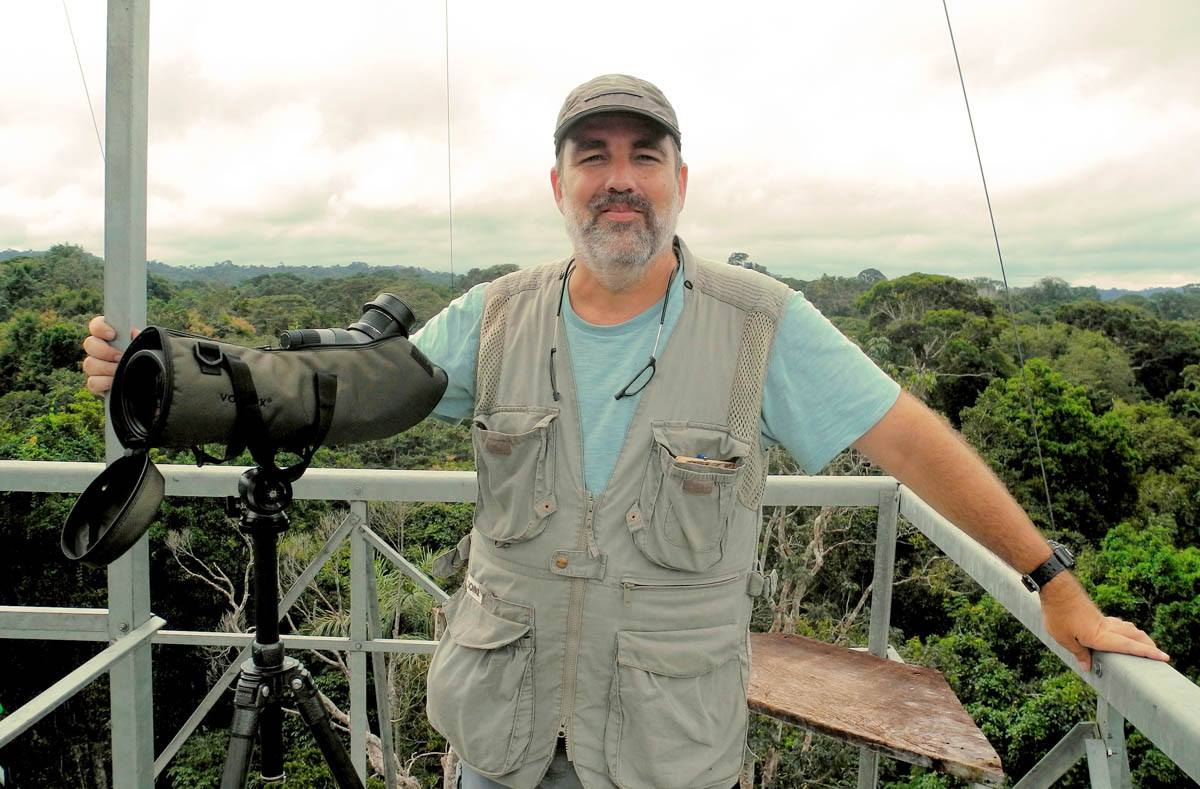 Fotografando Aves da Mata Atlântica
