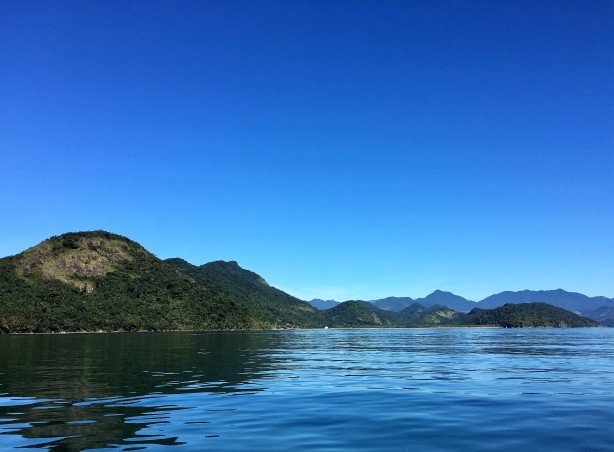 Festival Aves de Paraty